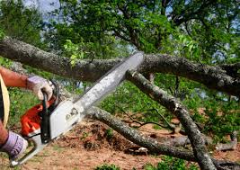 Best Seasonal Cleanup (Spring/Fall)  in Merian, ID